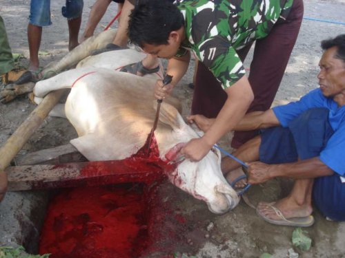 DSC05505_1